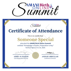 Certificate of Attendance Summit 2020